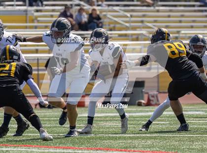 Thumbnail 2 in Napa vs Novato photogallery.