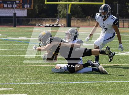 Thumbnail 1 in Napa vs Novato photogallery.