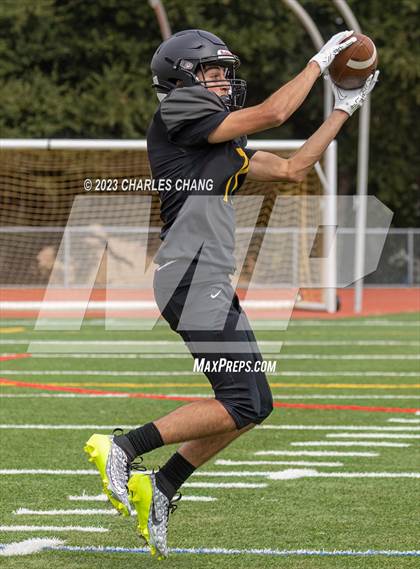 Thumbnail 1 in Napa vs Novato photogallery.
