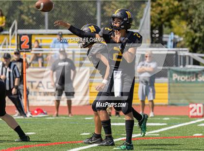 Thumbnail 3 in Napa vs Novato photogallery.