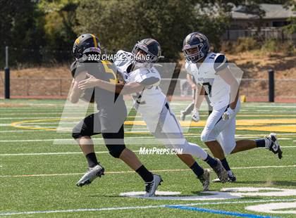 Thumbnail 2 in Napa vs Novato photogallery.