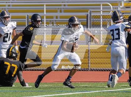 Thumbnail 2 in Napa vs Novato photogallery.