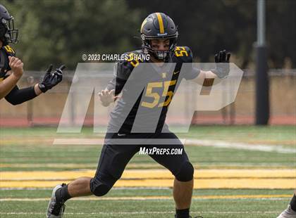 Thumbnail 3 in Napa vs Novato photogallery.