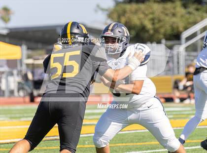 Thumbnail 3 in Napa vs Novato photogallery.