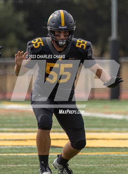 Thumbnail 1 in Napa vs Novato photogallery.