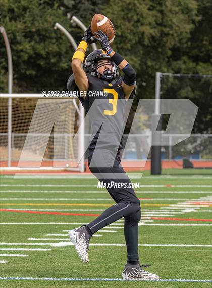 Thumbnail 2 in Napa vs Novato photogallery.