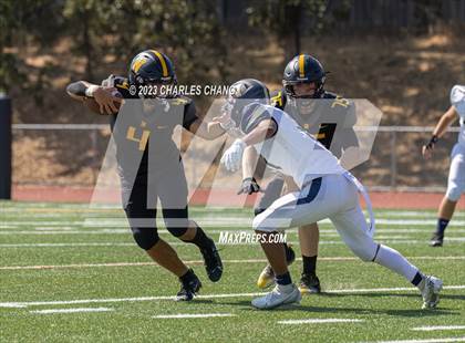 Thumbnail 2 in Napa vs Novato photogallery.