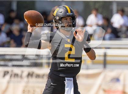 Thumbnail 1 in Napa vs Novato photogallery.