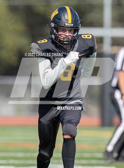 Thumbnail 2 in Napa vs Novato photogallery.
