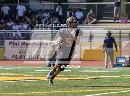 Thumbnail 3 in Napa vs Novato photogallery.