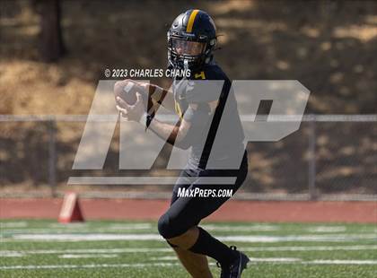 Thumbnail 3 in Napa vs Novato photogallery.