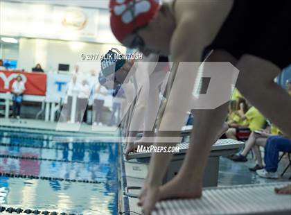 Thumbnail 2 in NCHSAA 4A State Swim Championship (Finals) photogallery.
