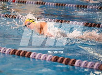 Thumbnail 2 in NCHSAA 4A State Swim Championship (Finals) photogallery.