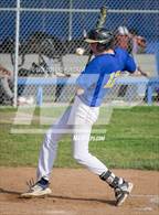 Photo from the gallery "Glendale @ Muir"