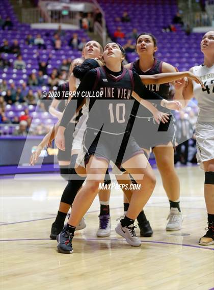 Thumbnail 2 in Pine View vs. Desert Hills (UHSAA 4A Semifinal) photogallery.