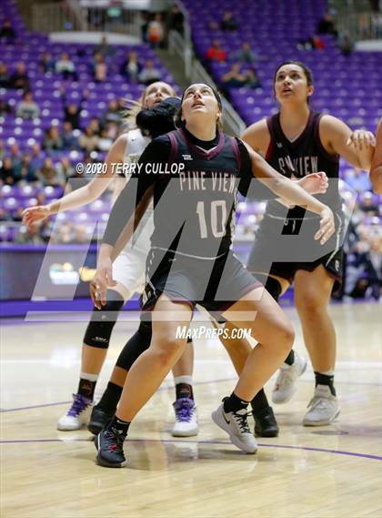 Thumbnail 1 in Pine View vs. Desert Hills (UHSAA 4A Semifinal) photogallery.