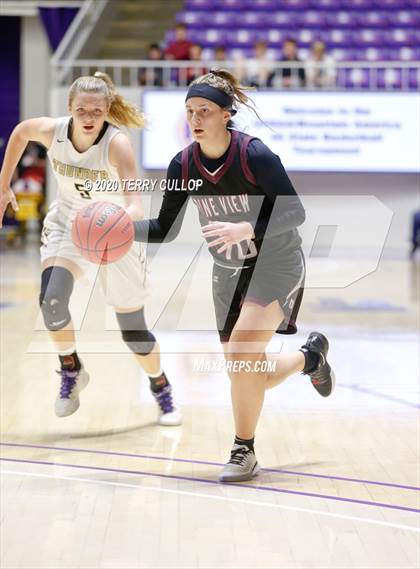 Thumbnail 1 in Pine View vs. Desert Hills (UHSAA 4A Semifinal) photogallery.