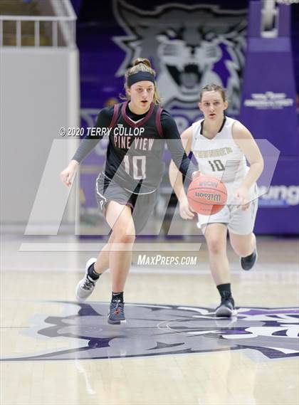 Thumbnail 3 in Pine View vs. Desert Hills (UHSAA 4A Semifinal) photogallery.