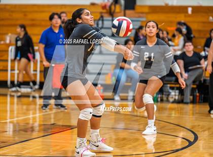 Thumbnail 3 in Milby @ Galena Park photogallery.