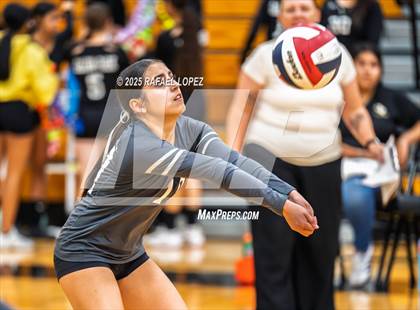 Thumbnail 3 in Milby @ Galena Park photogallery.