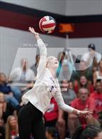 Photo from the gallery "St. Teresa's Academy vs Bishop Miege (St James Volleyball Slam)"