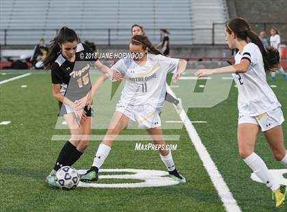 Thumbnail 1 in Notre Dame vs. Terra Nova (CIF CCS D2 Semifinal) photogallery.
