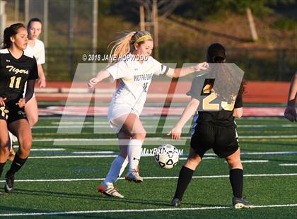 Thumbnail 3 in Notre Dame vs. Terra Nova (CIF CCS D2 Semifinal) photogallery.