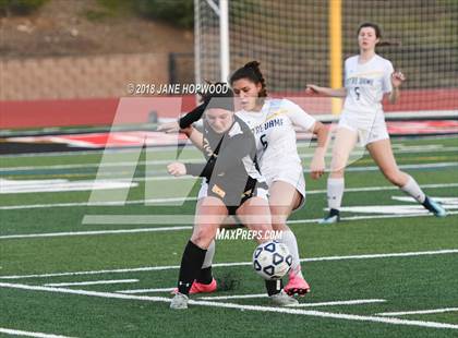 Thumbnail 1 in Notre Dame vs. Terra Nova (CIF CCS D2 Semifinal) photogallery.