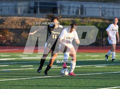 Thumbnail 3 in Notre Dame vs. Terra Nova (CIF CCS D2 Semifinal) photogallery.