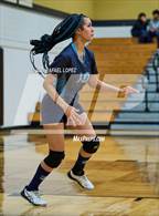 Photo from the gallery "Sterling @ Galena Park"