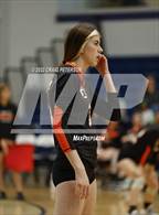 Photo from the gallery "Weber vs. Murray"