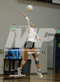 Photo from the gallery "Weber vs. Murray"