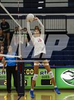 Photo from the gallery "Weber vs. Murray"