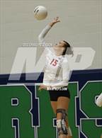 Photo from the gallery "Weber vs. Murray"