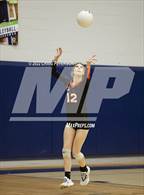 Photo from the gallery "Weber vs. Murray"
