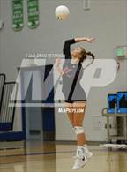 Photo from the gallery "Weber vs. Murray"