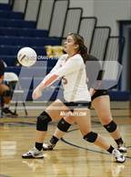 Photo from the gallery "Weber vs. Murray"