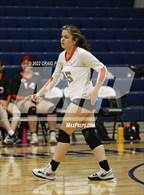 Photo from the gallery "Weber vs. Murray"