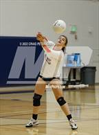 Photo from the gallery "Weber vs. Murray"