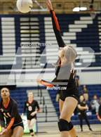 Photo from the gallery "Weber vs. Murray"