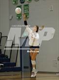 Photo from the gallery "Weber vs. Murray"