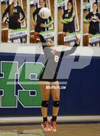 Photo from the gallery "Weber vs. Murray"