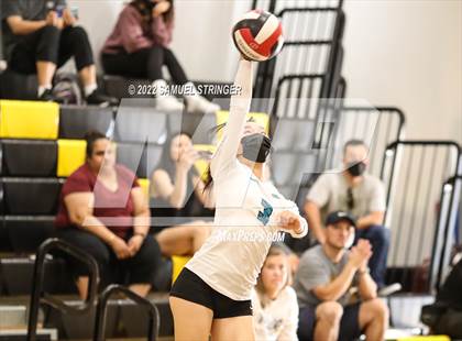 Thumbnail 3 in Wilcox vs. Evergreen Valley (Spikefest 1) photogallery.