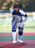 Photo from the gallery "Credo @ St. Vincent de Paul"