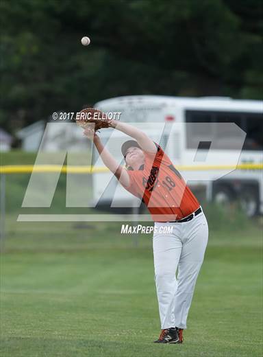 null - Photo 31