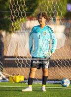 Photo from the gallery "Silver @ Alamogordo"