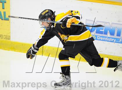 Thumbnail 3 in Amity @ Brookfield/Bethel/Danbury photogallery.