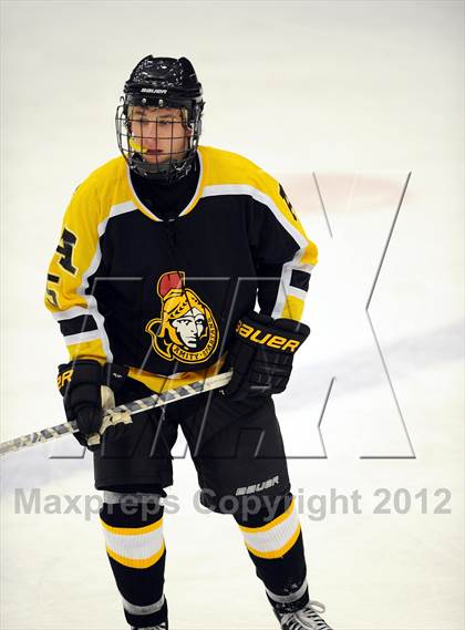 Thumbnail 3 in Amity @ Brookfield/Bethel/Danbury photogallery.