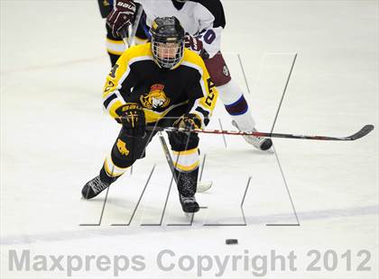 Thumbnail 1 in Amity @ Brookfield/Bethel/Danbury photogallery.