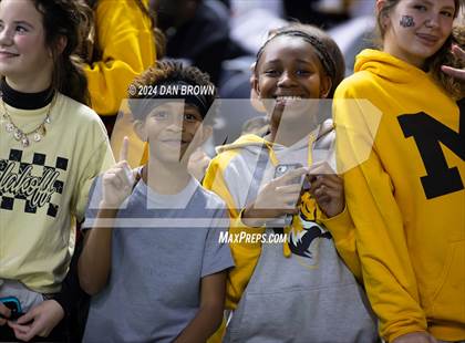 Thumbnail 3 in Paradise vs. Malakoff (UIL 3A D1 Semifinal) photogallery.